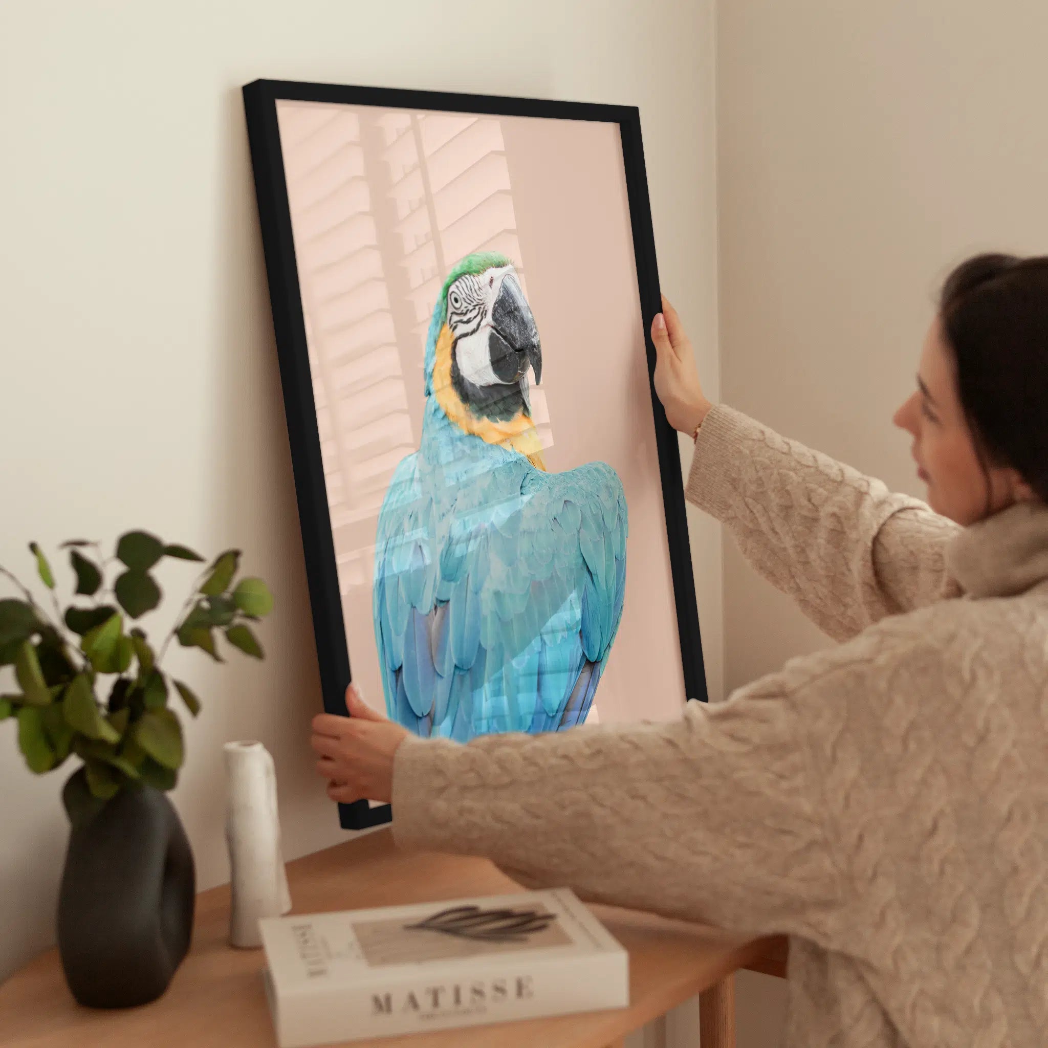 Blue Macaw wird aufgehängt