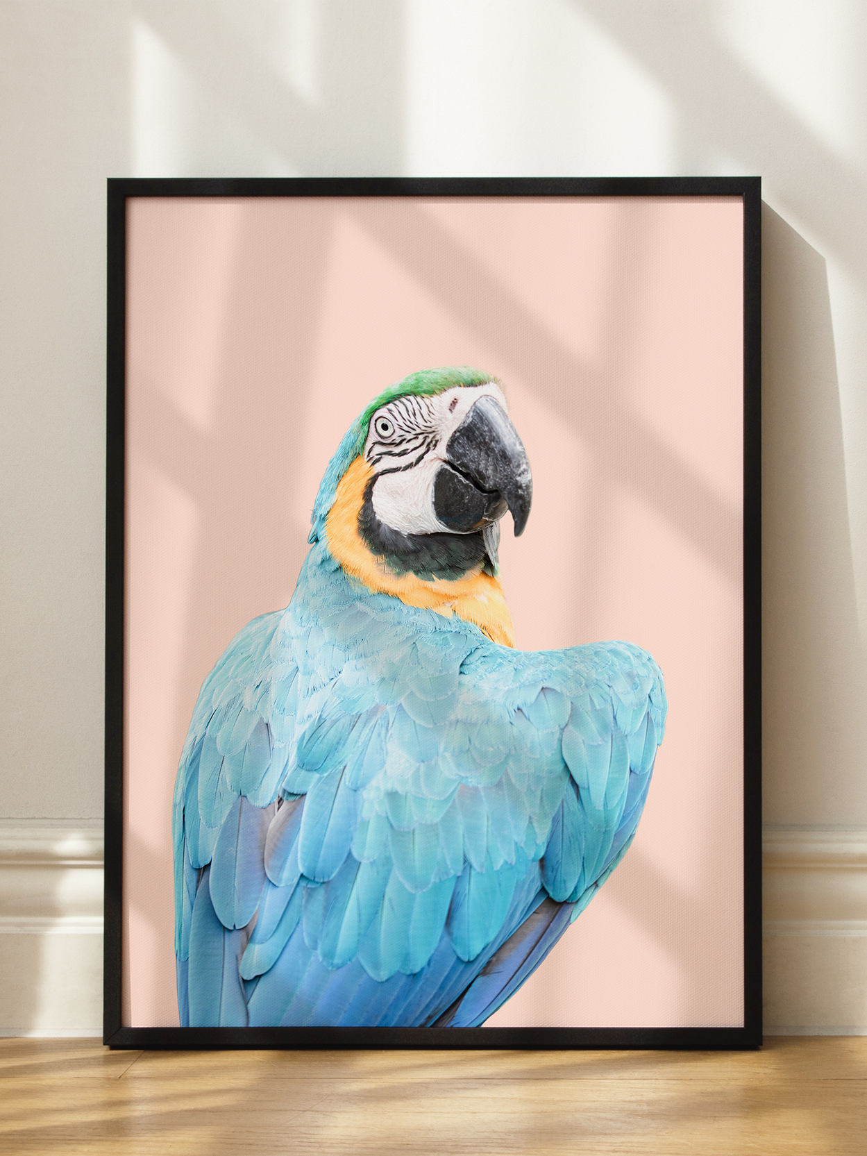 Blue Macaw