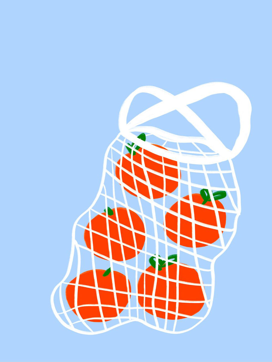 Illustration von Tomaten in einem weißen Netzbeutel vor einem hellblauen Hintergrund.