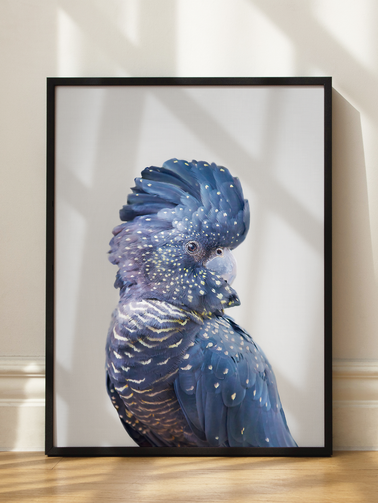 Black Cockatoo Poster