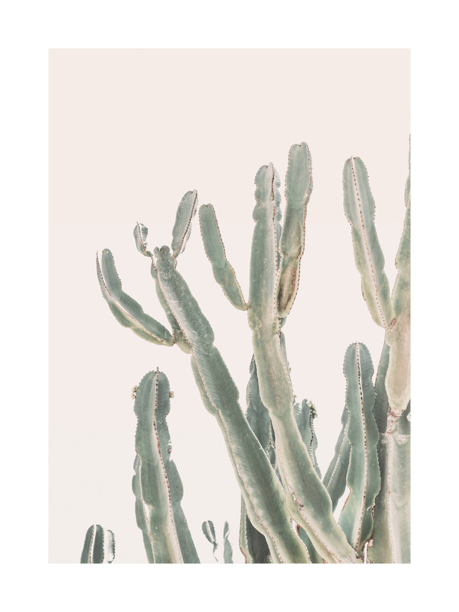 Sunrise In Mexico Poster