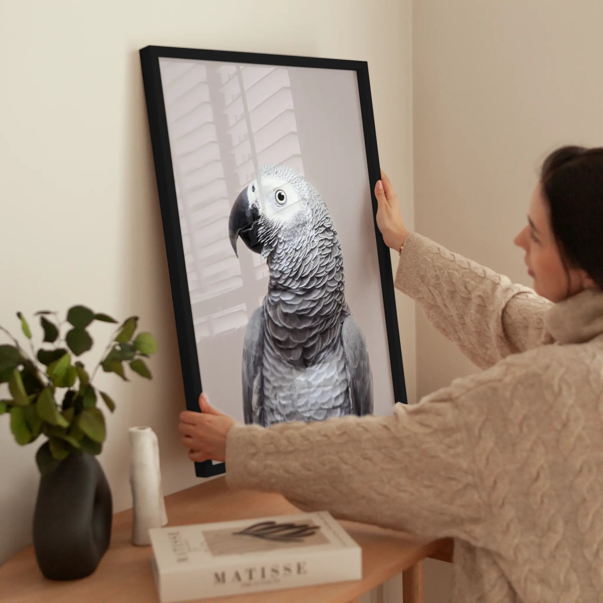African Grey wird aufgehängt