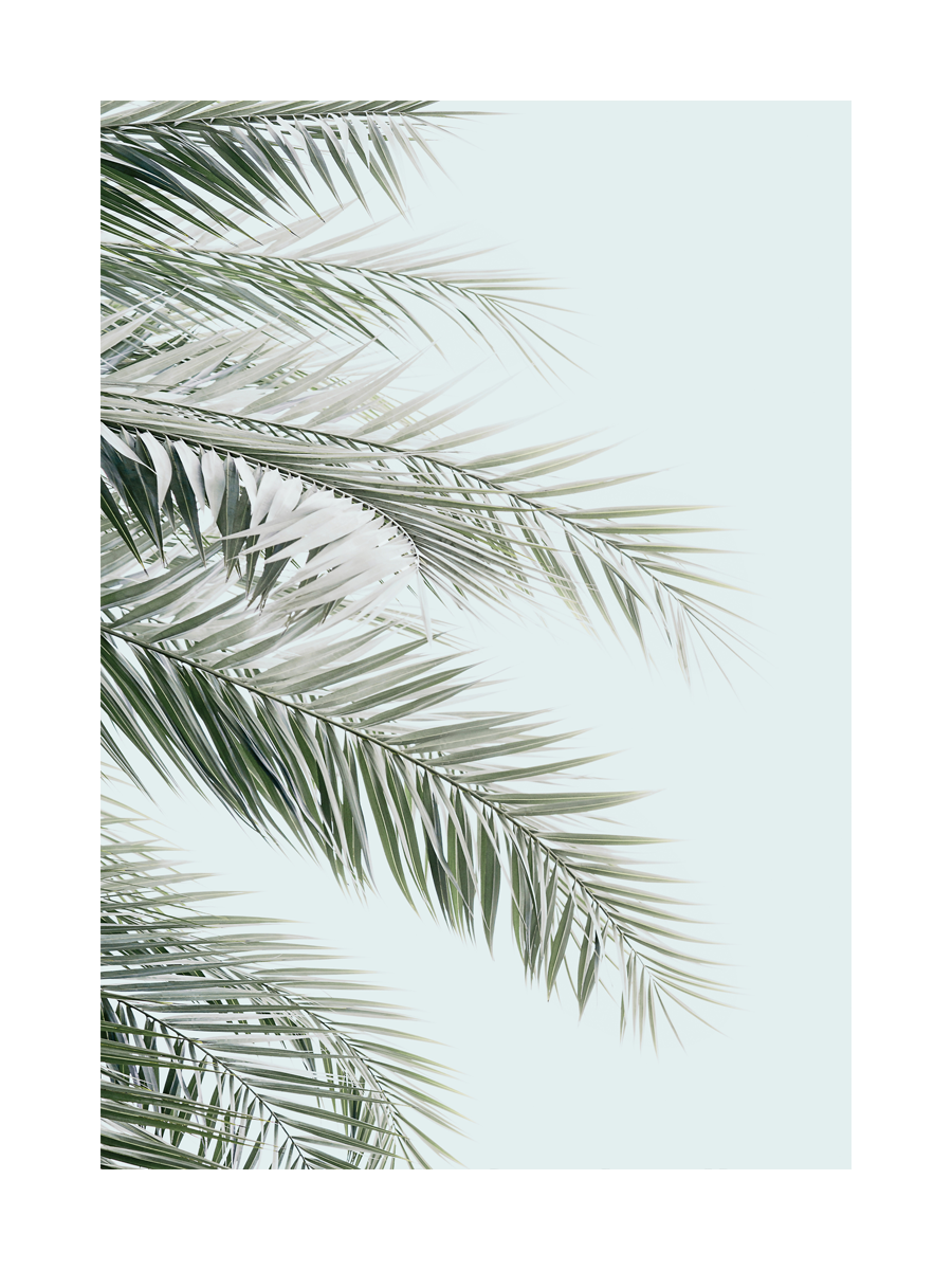 Blue Palms Poster