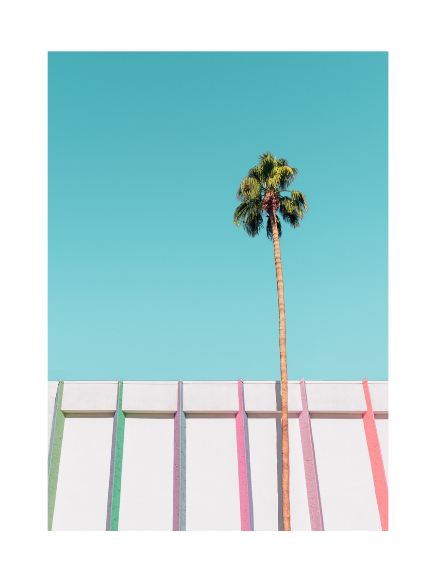 Fotografie einer Palme vor einem Gebäude mit farbigen Streifen und blauem Himmel.