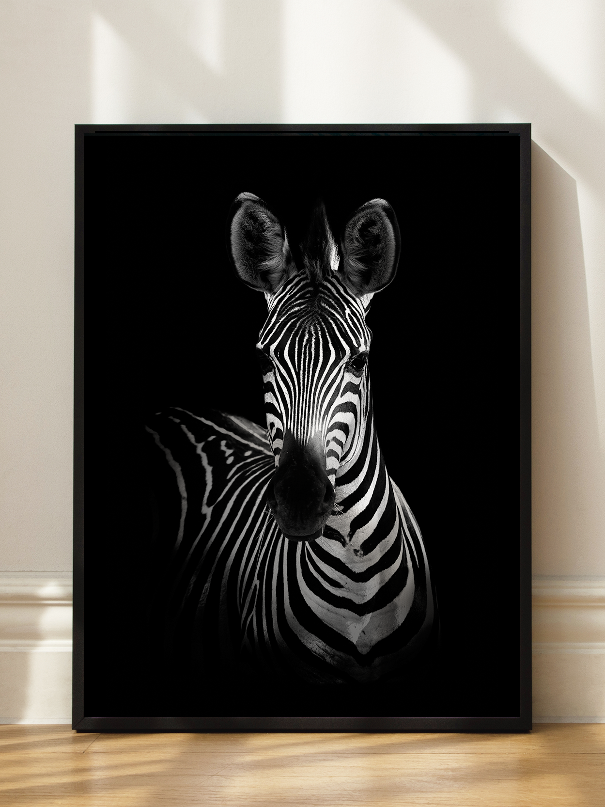 The Zebra