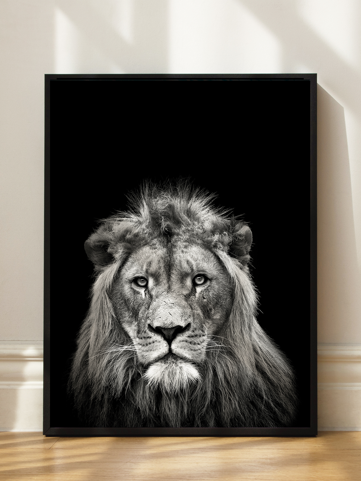 Young Male Lion