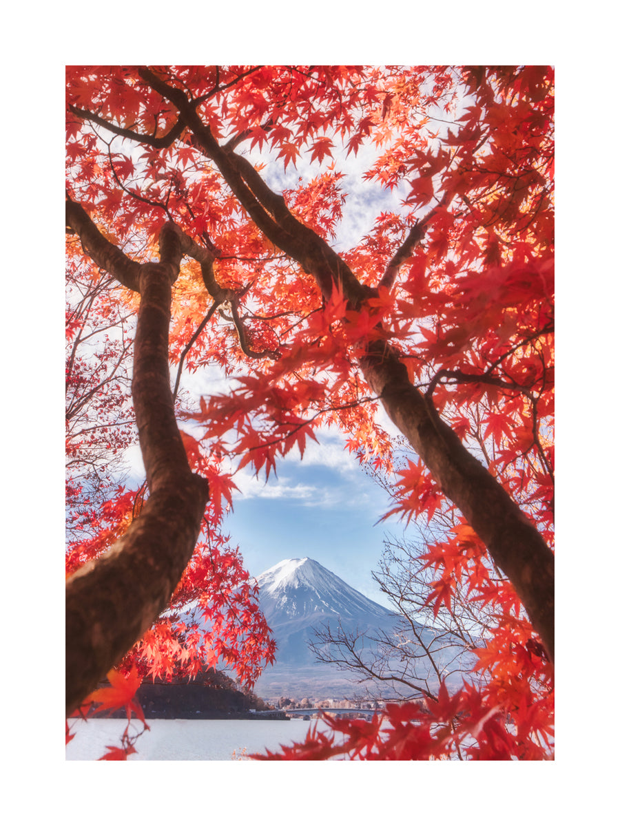 Mount Fuji Poster