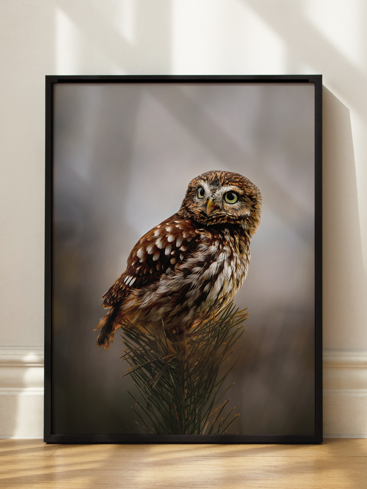 Morning With Owl Poster