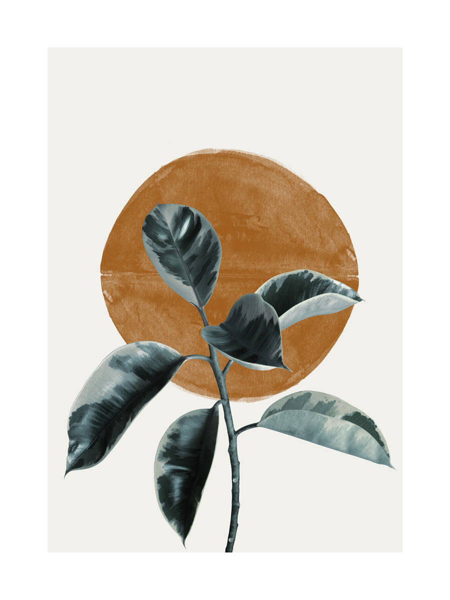 Illustration eines Gummibaumzweigs vor einem orangefarbenen Kreis auf beigem Hintergrund.