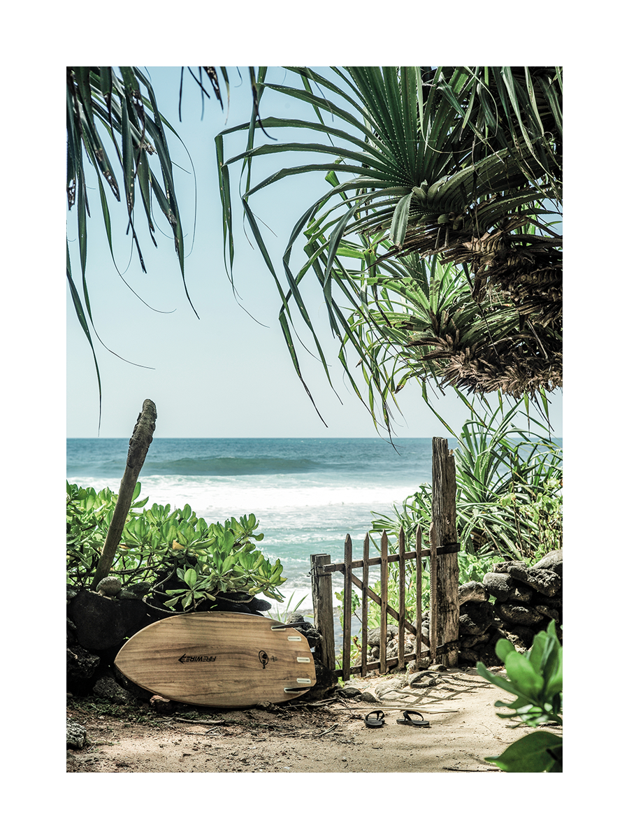 Fotografie eines Strandes mit Surfbrett und grünen Pflanzen im Vordergrund.