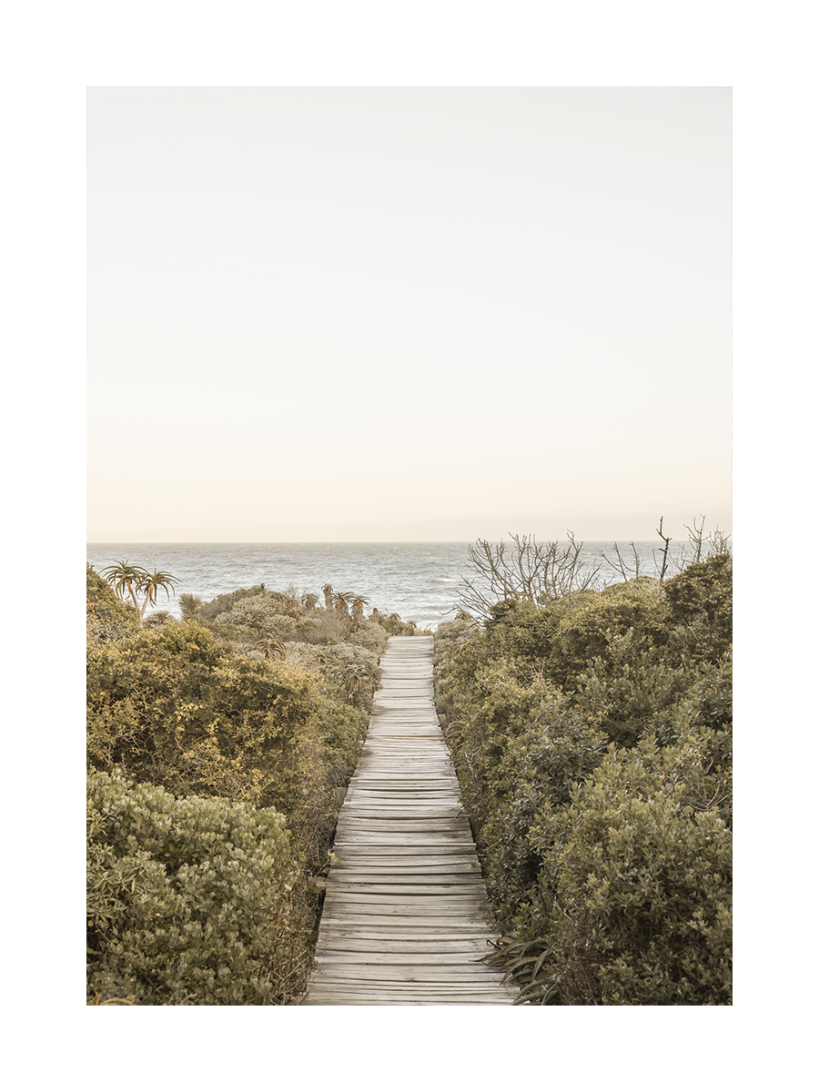 Fotografie eines Holzstegs durch grüne Büsche zum Meer.