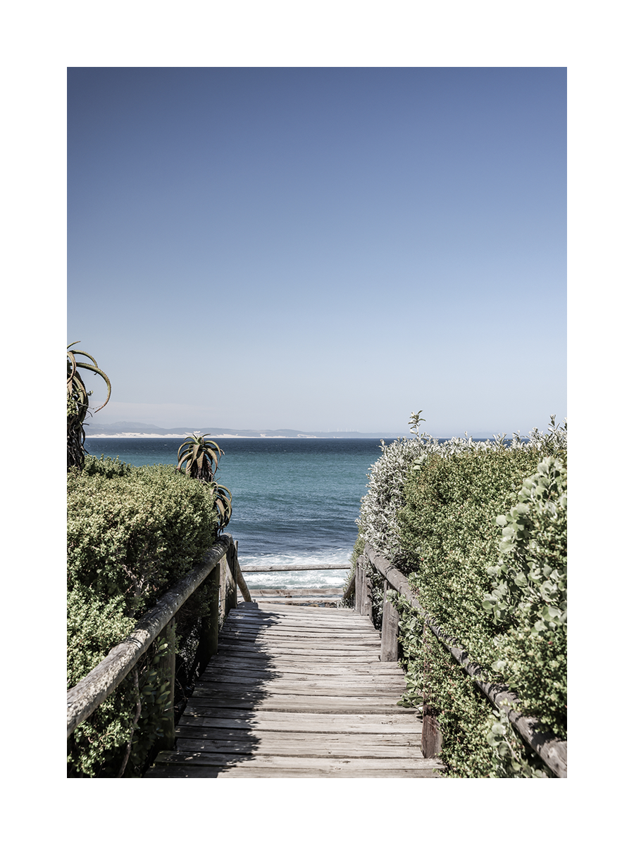 Fotografie eines Holzstegs, der von grünen Büschen umgeben ist und zu einem Strand führt.