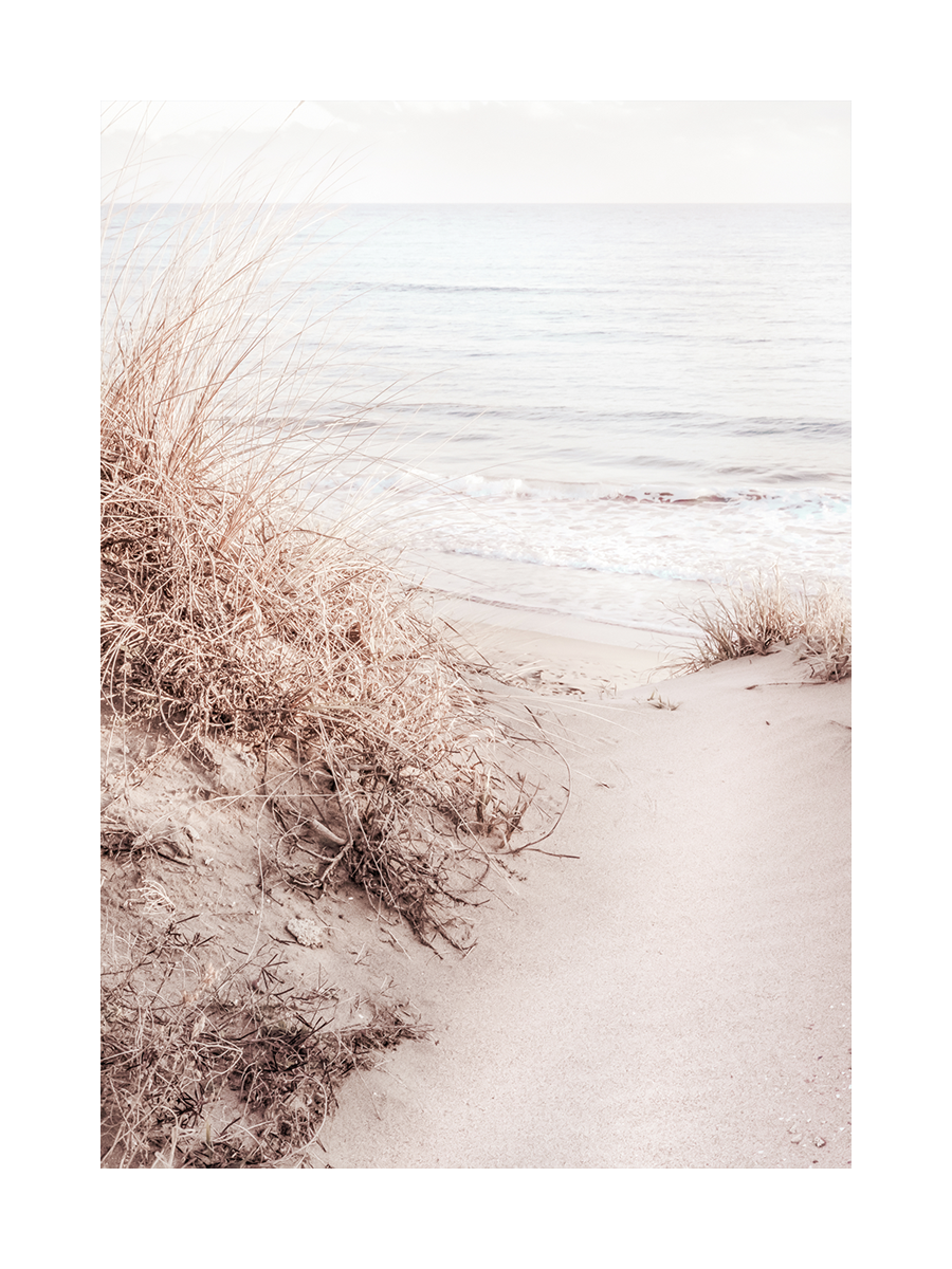 Fotografie von Sanddünen und Gräsern am Meer in Pastellfarben.