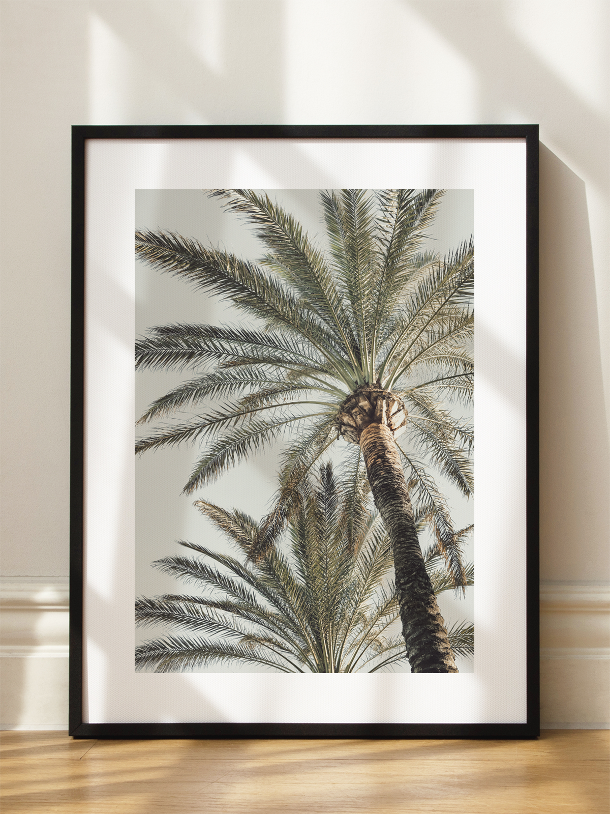 Mediterranean Palms Poster