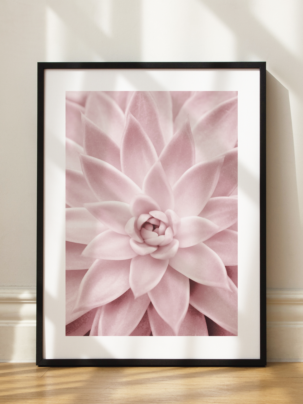 Succulent Symmetry Poster