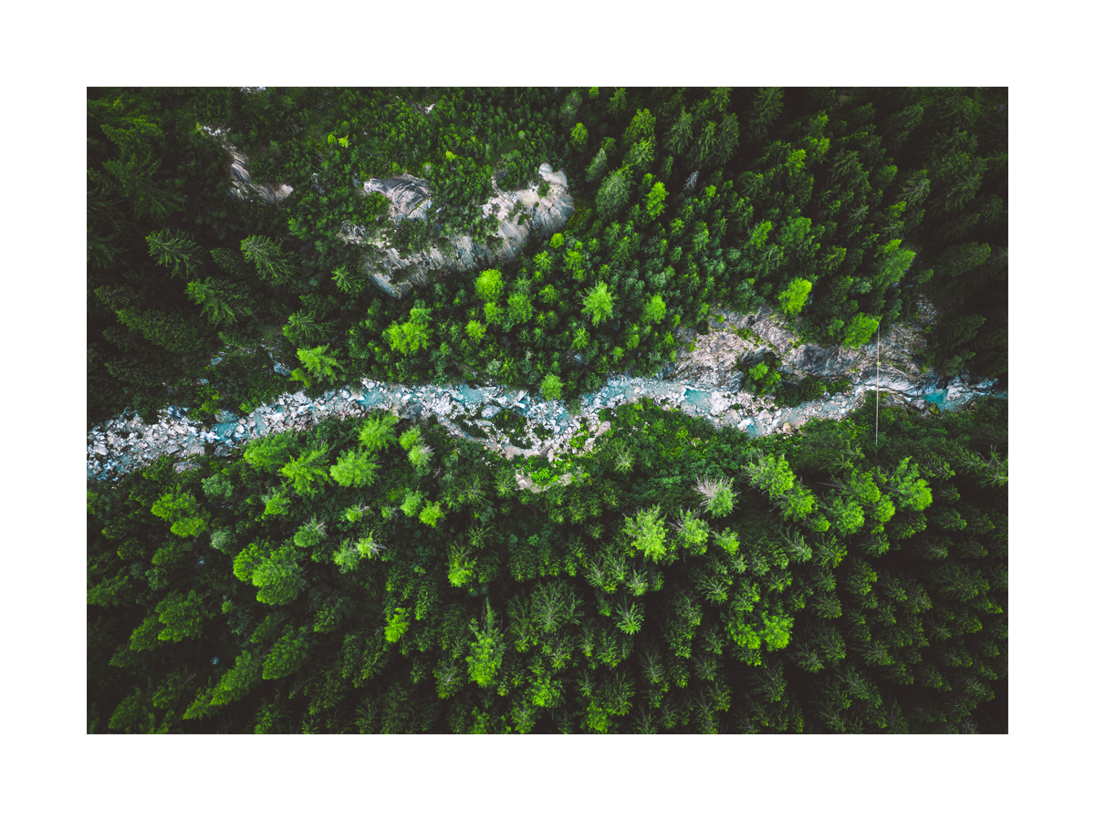 Luftaufnahme eines grünen Waldes mit einem Fluss in der Mitte.
