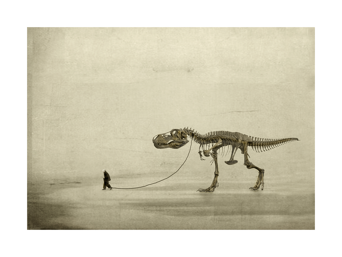 Skelett eines Dinosauriers, der an der Leine geführt wird, auf einem erdigen Hintergrund.