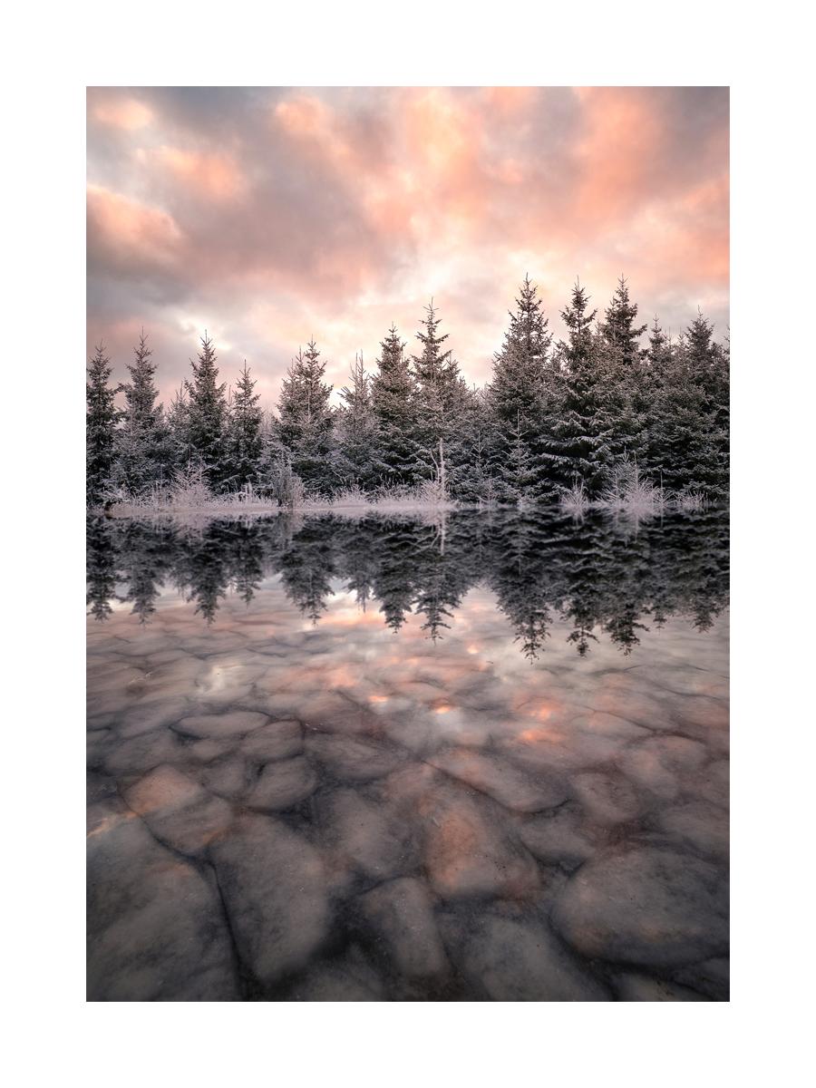 Fotografie eines zugefrorenen Sees mit Wald und rosa-orangefarbenem Himmel.