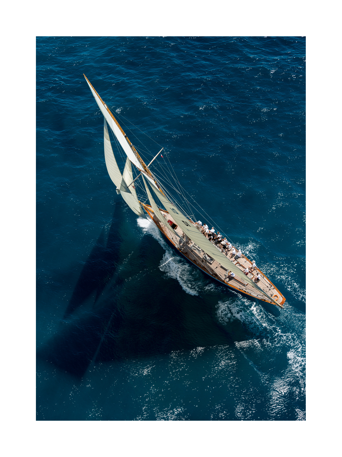 A Seagulls Point of View Poster