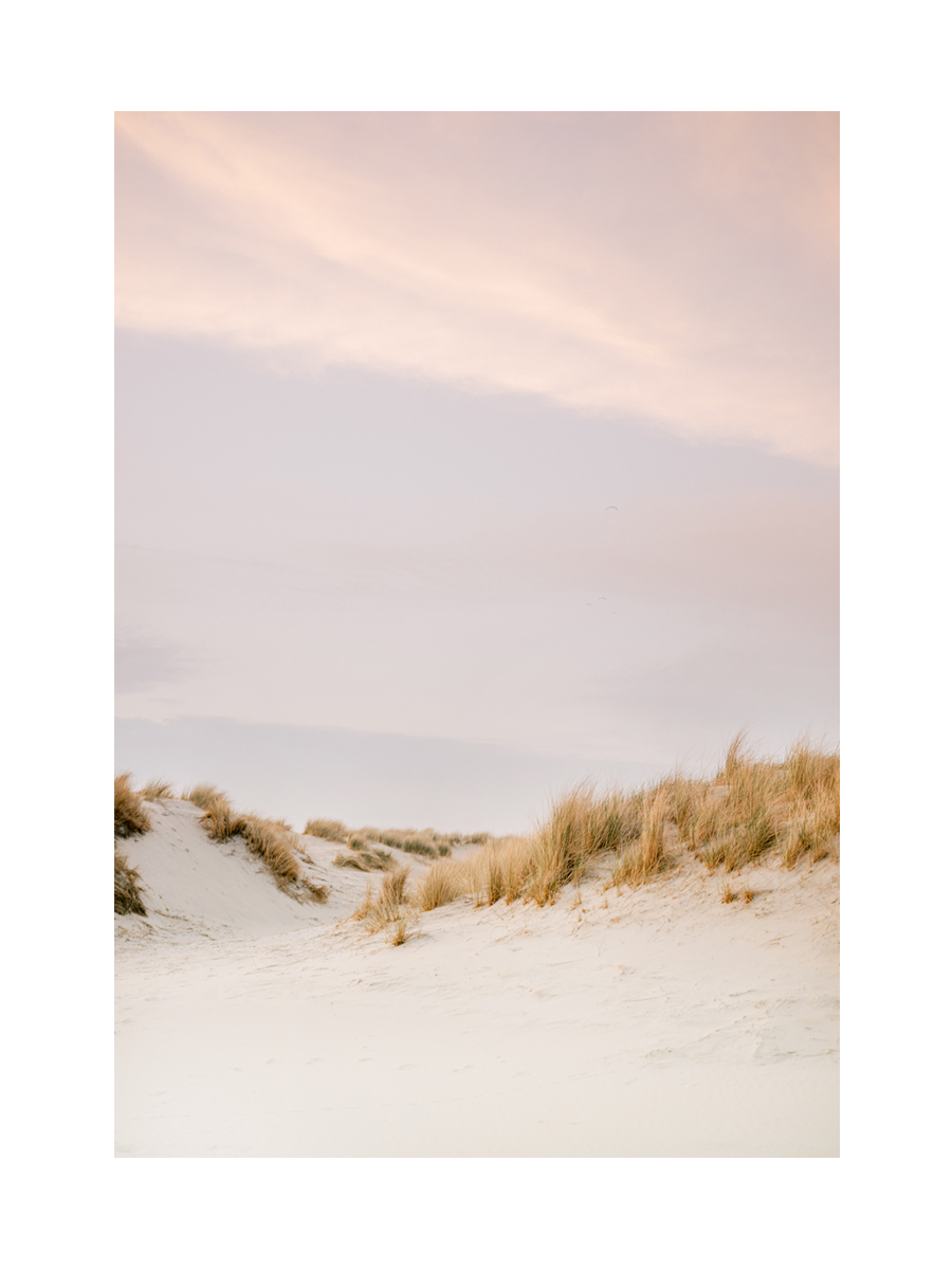 Fotografie von Sanddünen und Gras vor einem rosa Himmel.