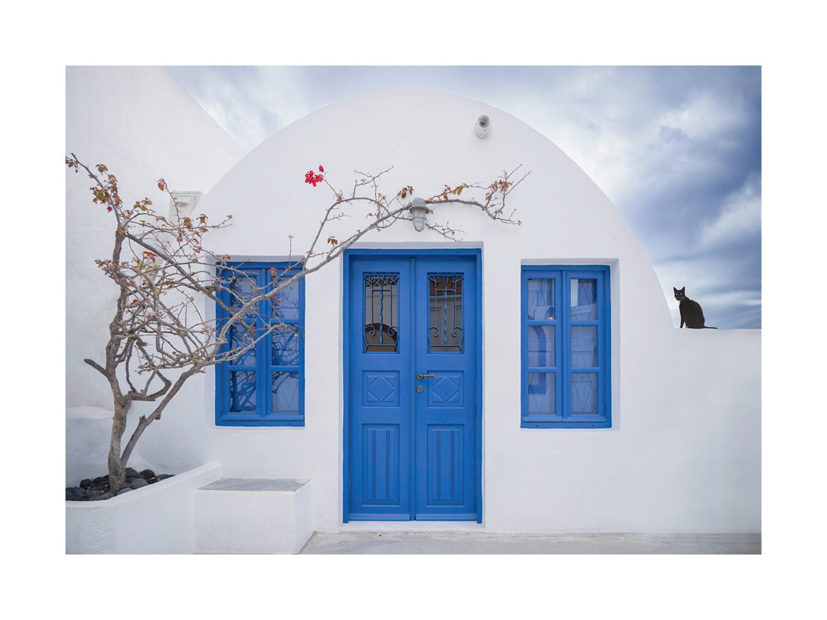 Fotografie eines weißen Hauses mit blauen Fenstern und Türen, Baum und schwarzer Katze.