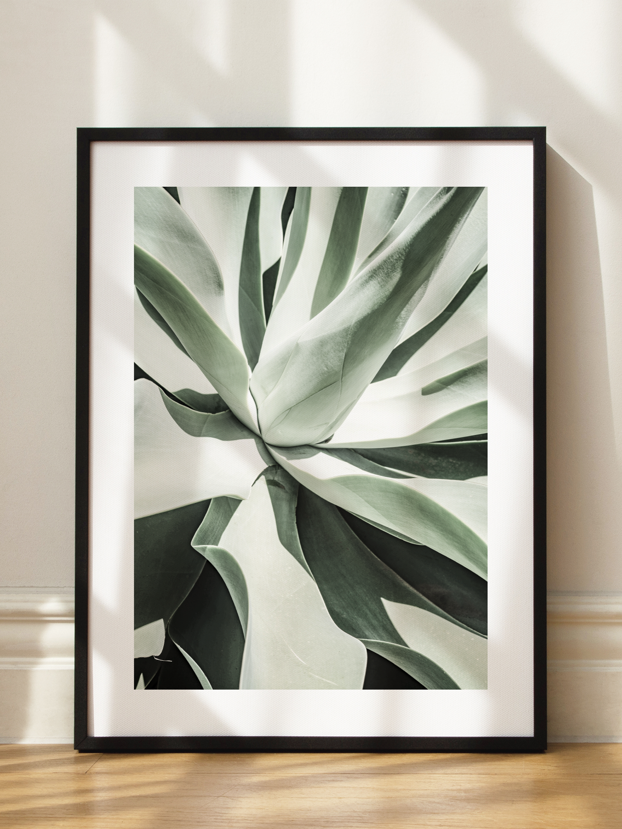 Agave Plant Poster