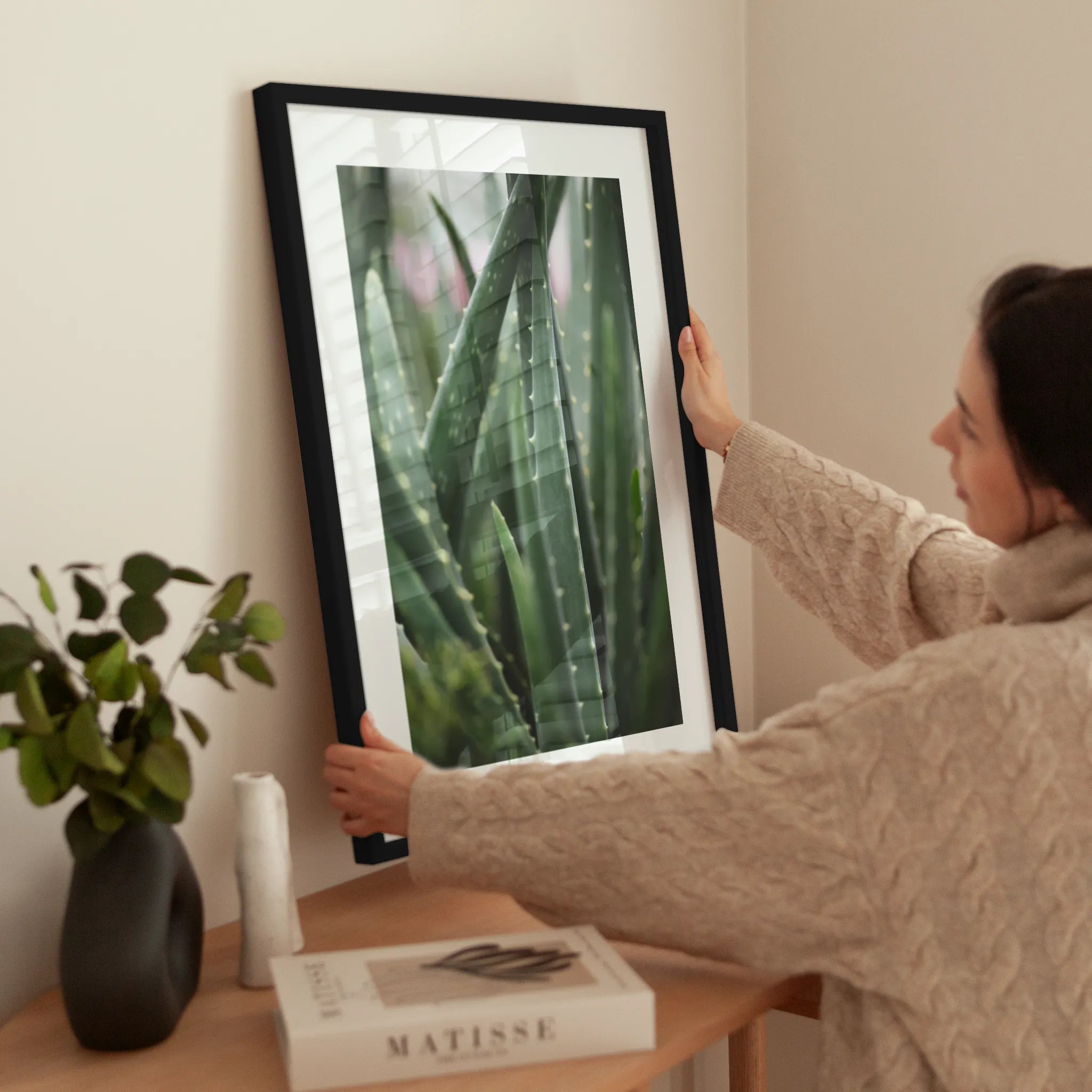 Aloe Vera Plant wird aufgehängt