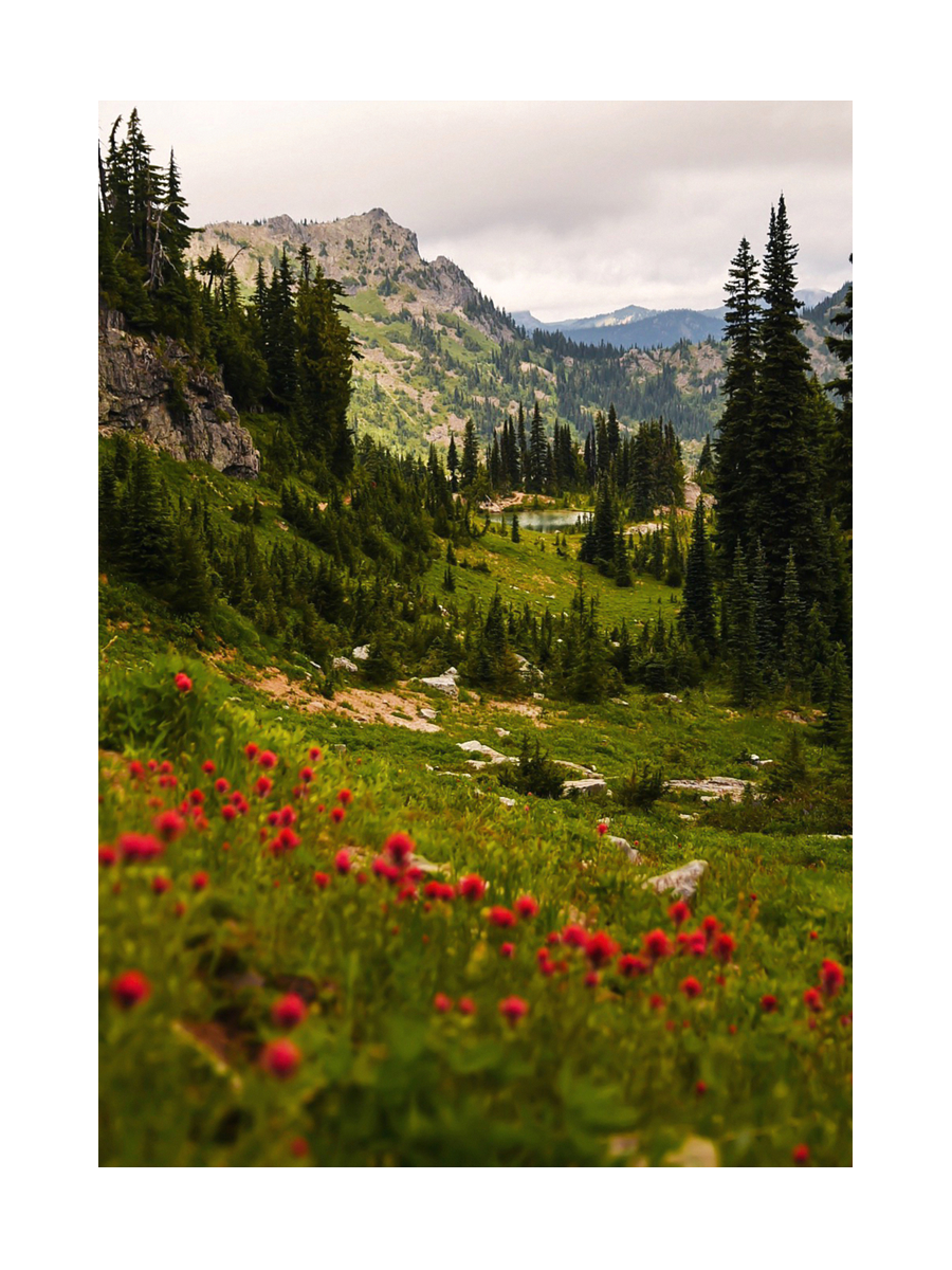 Berglandschaft mit grünen Wiesen und roten Wildblumen unter bewölktem Himmel.