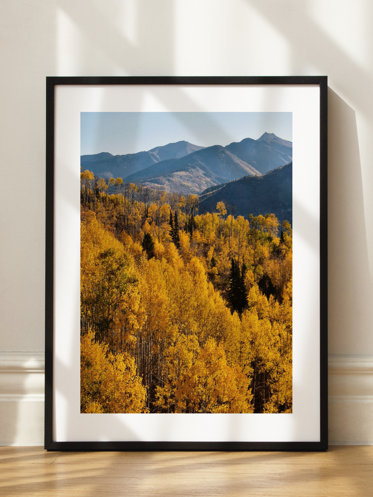 Aspen Trees Poster