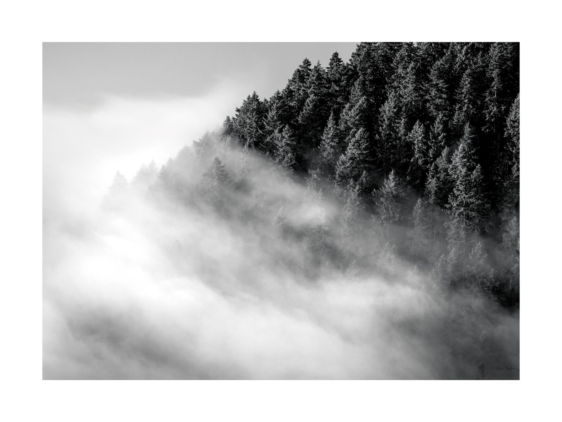 Overcast Poster
