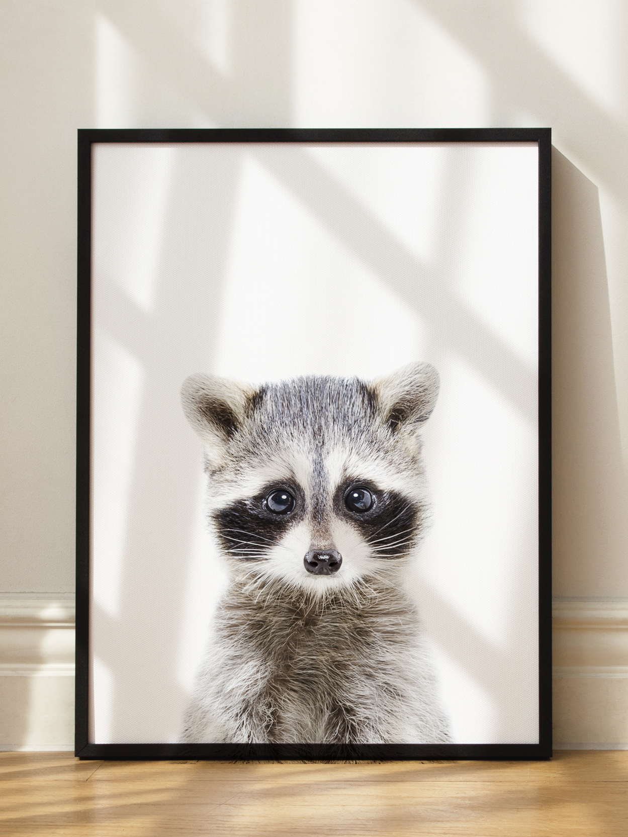 Baby Racoon Poster