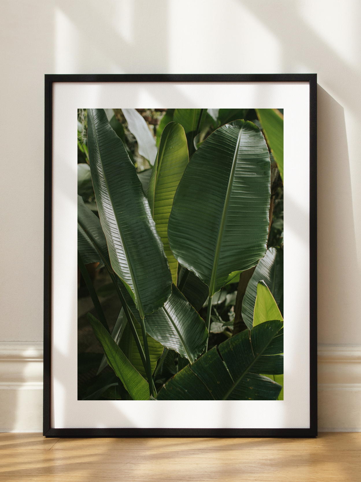 Banana Leaves 4 Poster