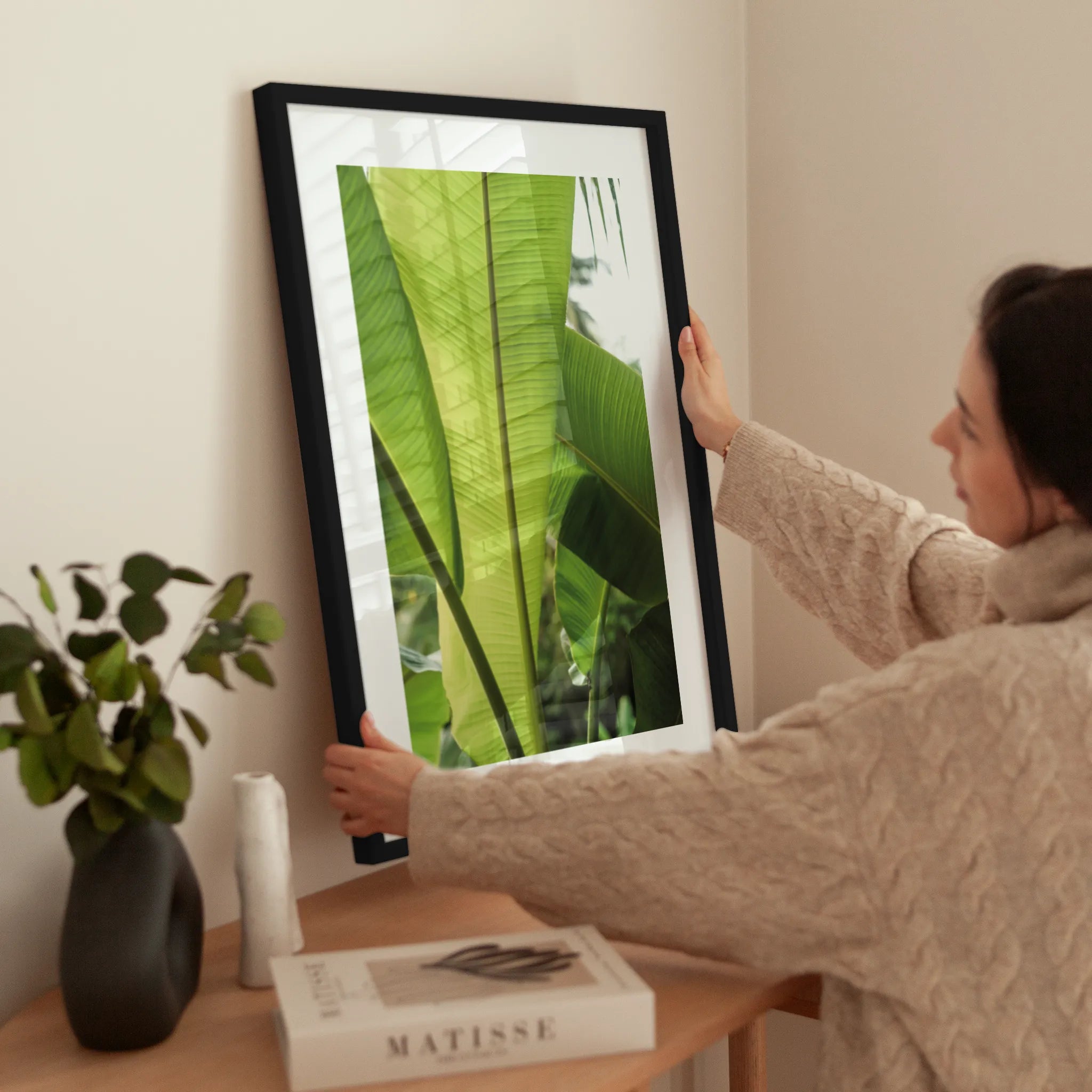 Banana Plant wird aufgehängt