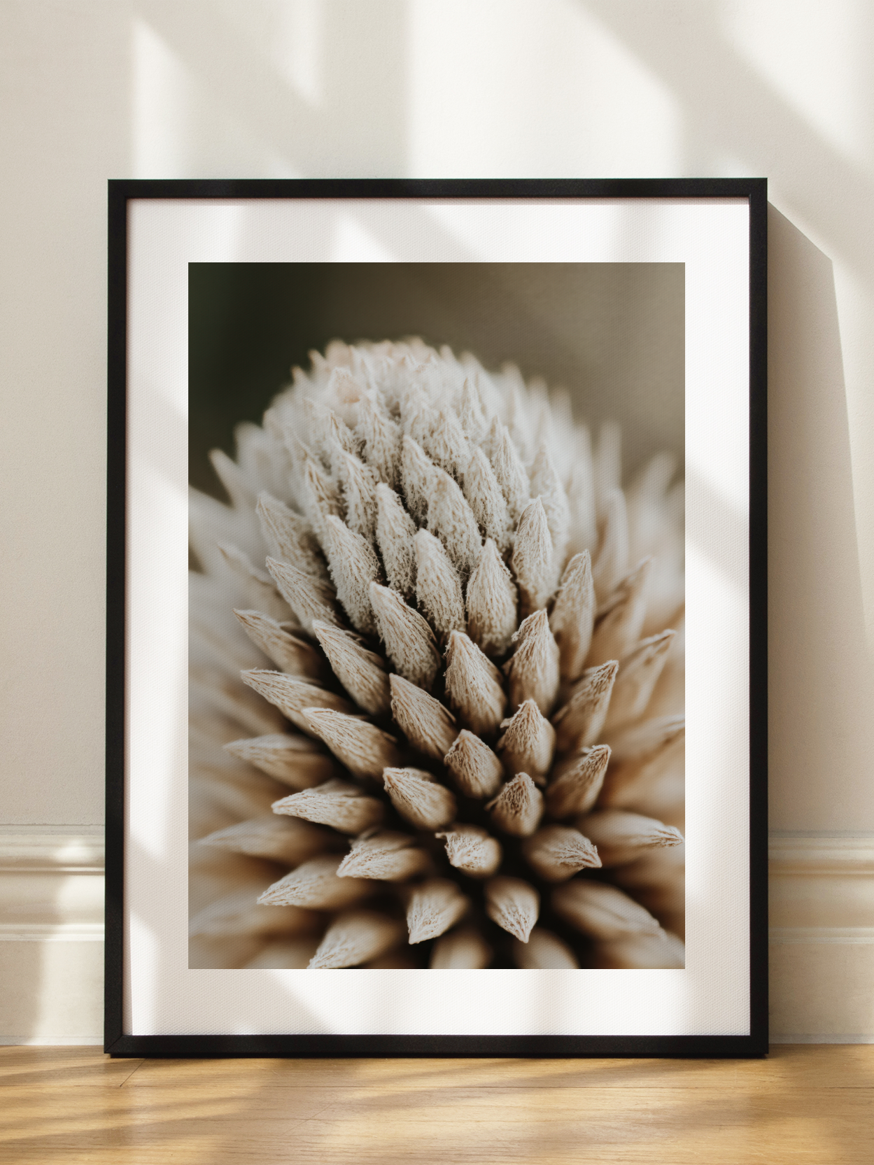 Beige Botanical Close Up Poster