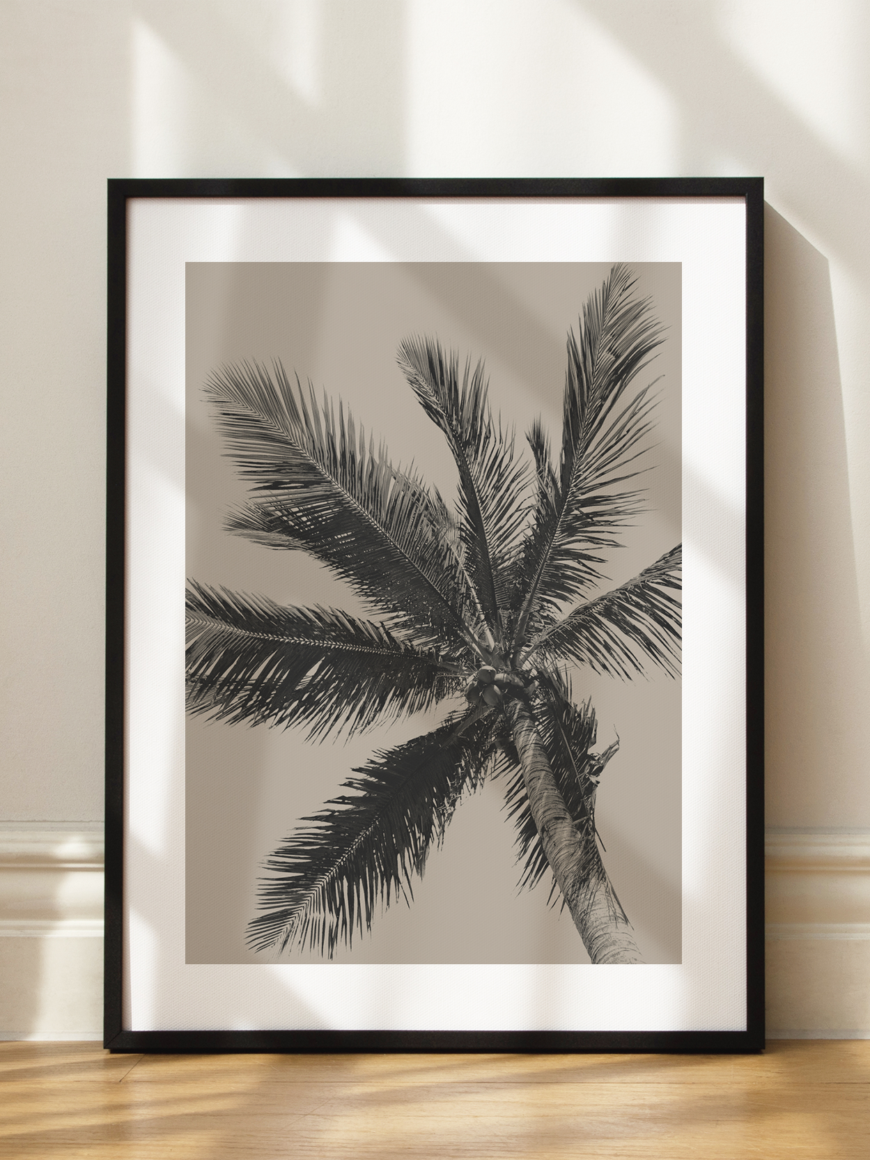 Black Palm