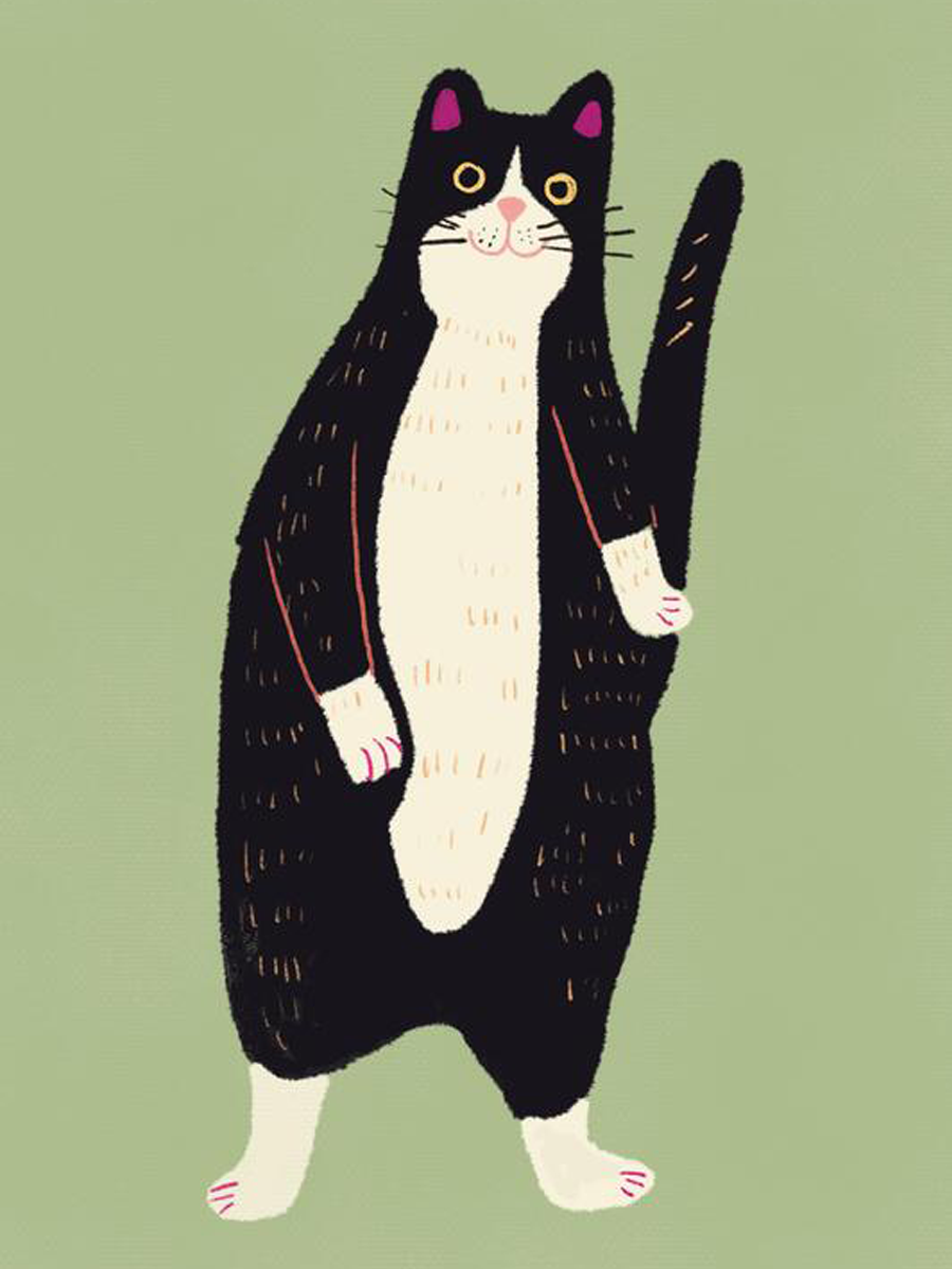 Illustration einer schwarz-weißen Katze auf grünem Hintergrund.