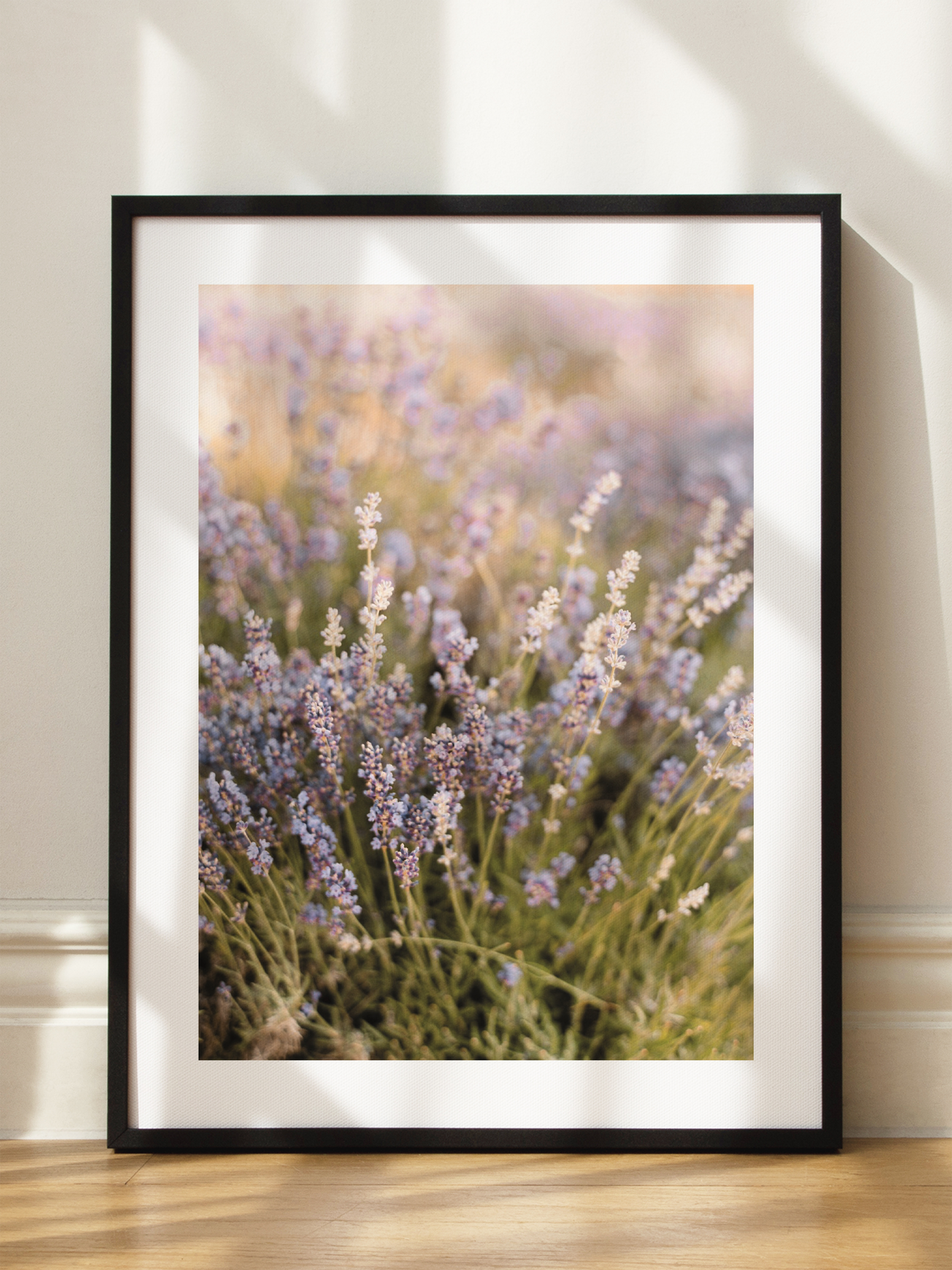 Blooming Lavender Poster