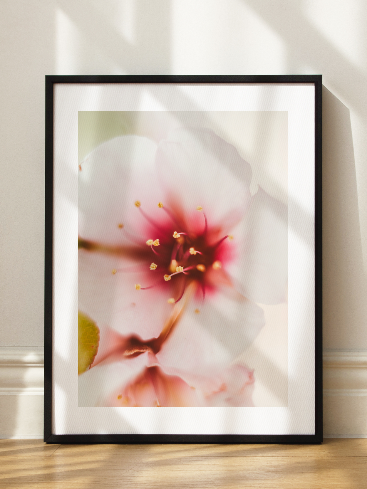 Blossom Close Up