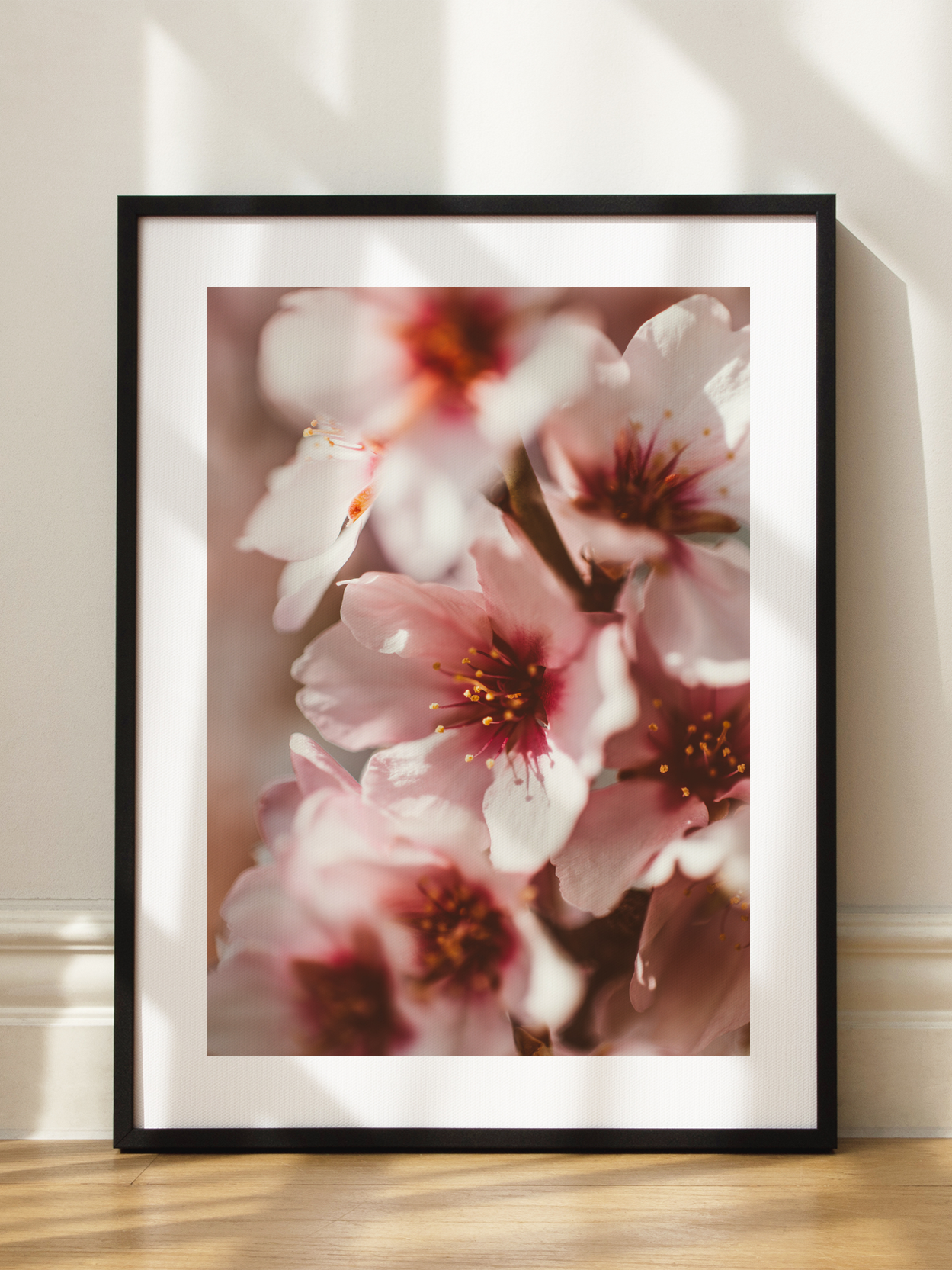 Blossoms