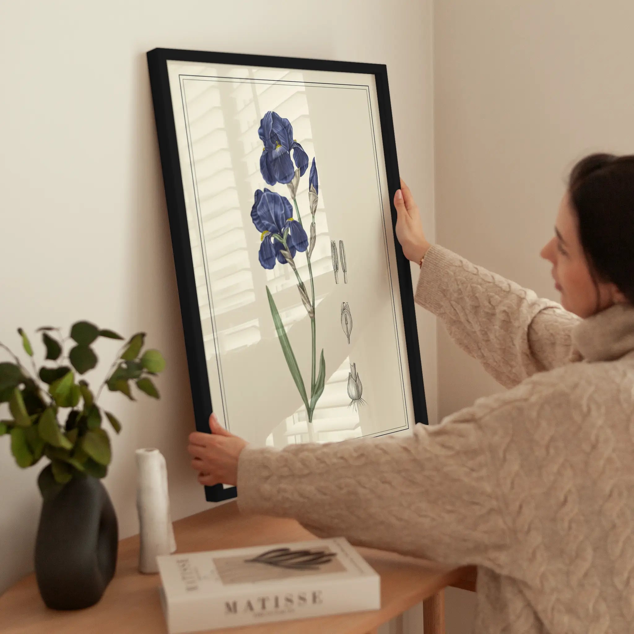 Blue Iris wird aufgehängt