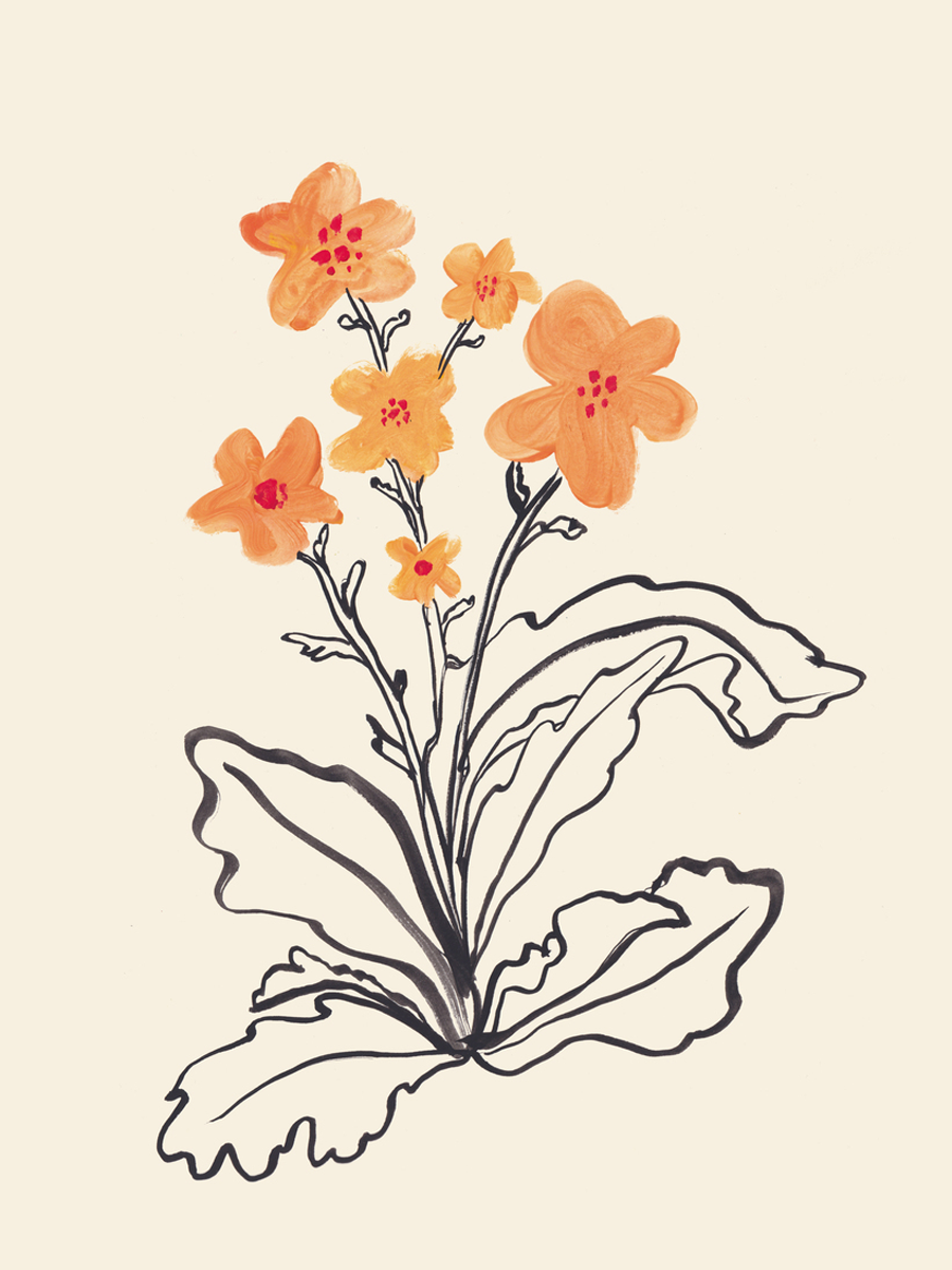 Illustration von orangefarbenen Blüten auf beigem Hintergrund mit dem Text "Botanical Art".