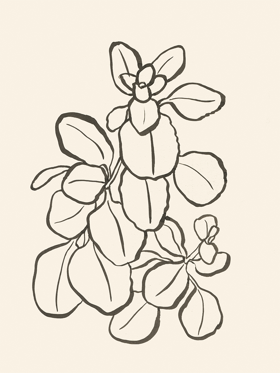 Botanical Bunch Poster