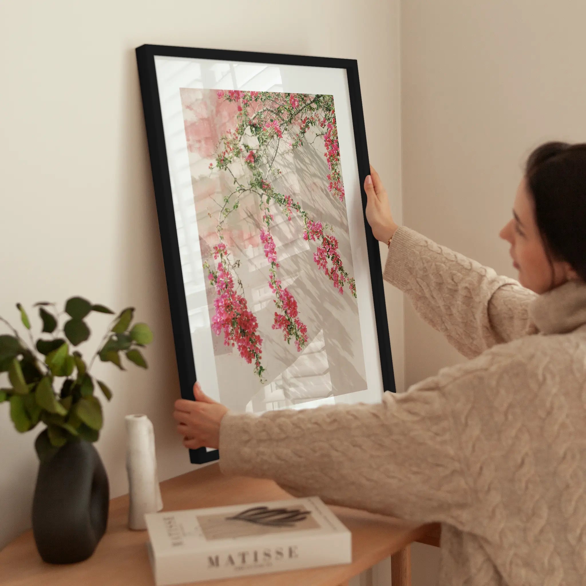 Bougainvillea Bliss wird aufgehängt