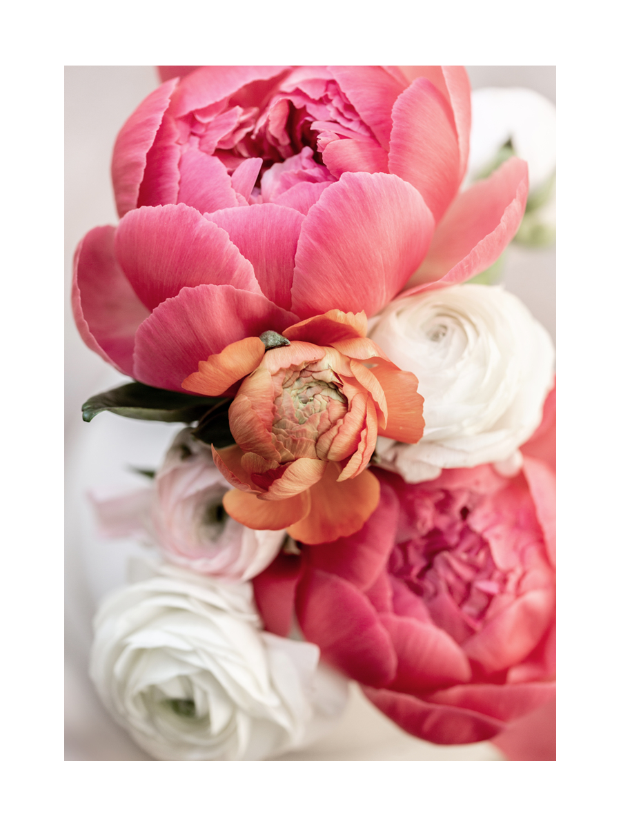 Bouquet of Peonies Poster
