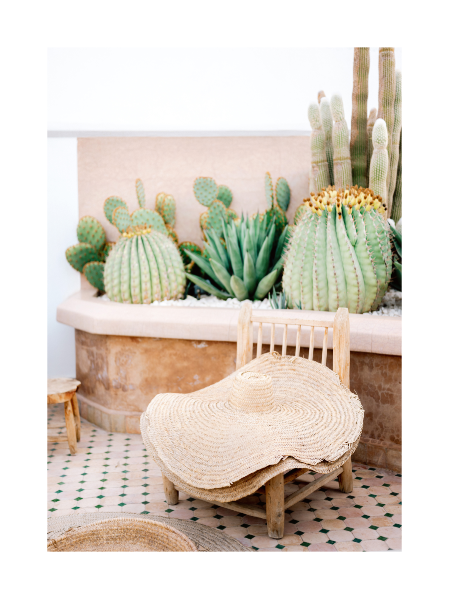 Cactus Garden 1 Poster