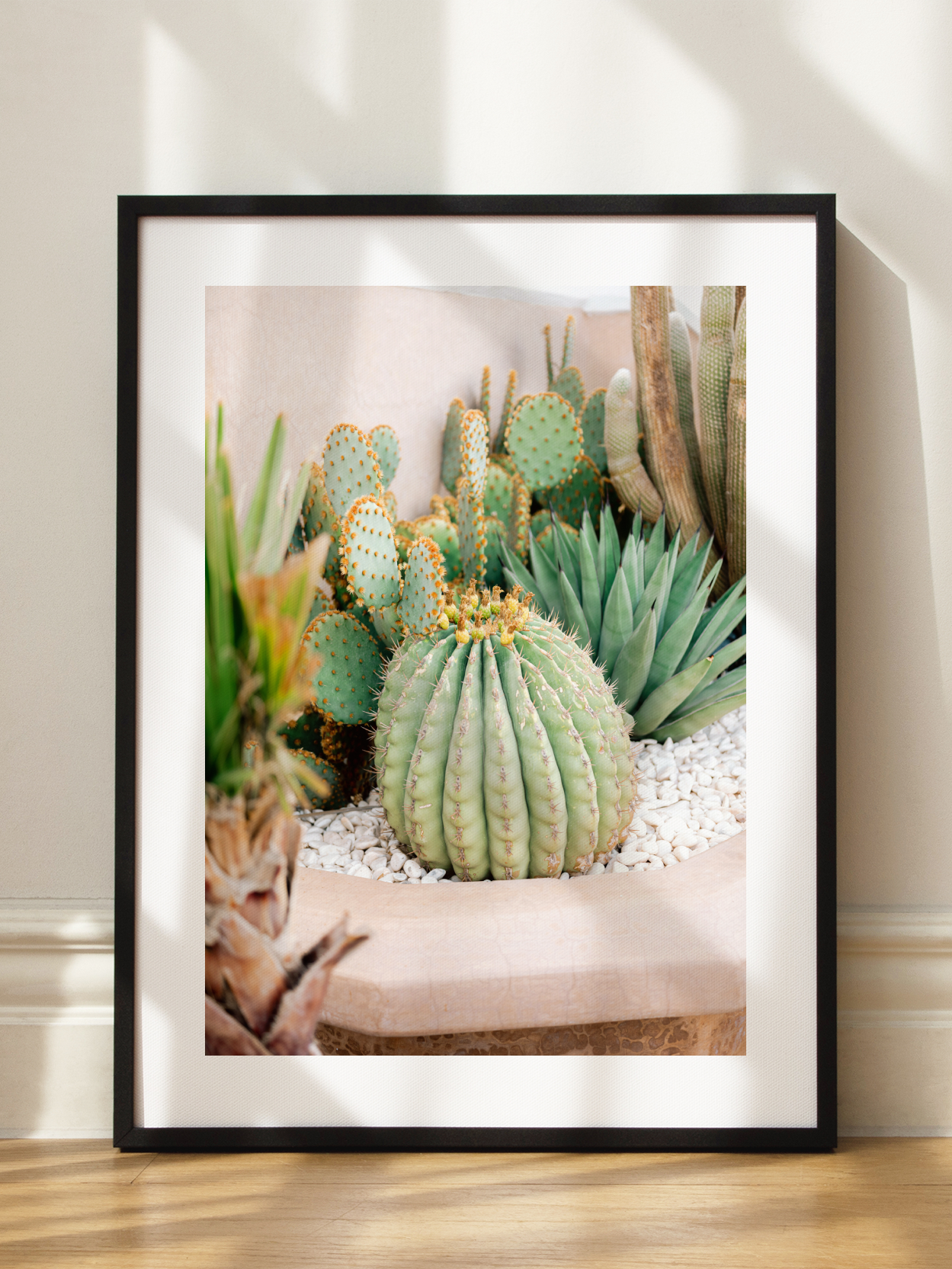 Cactus Garden 2 Poster
