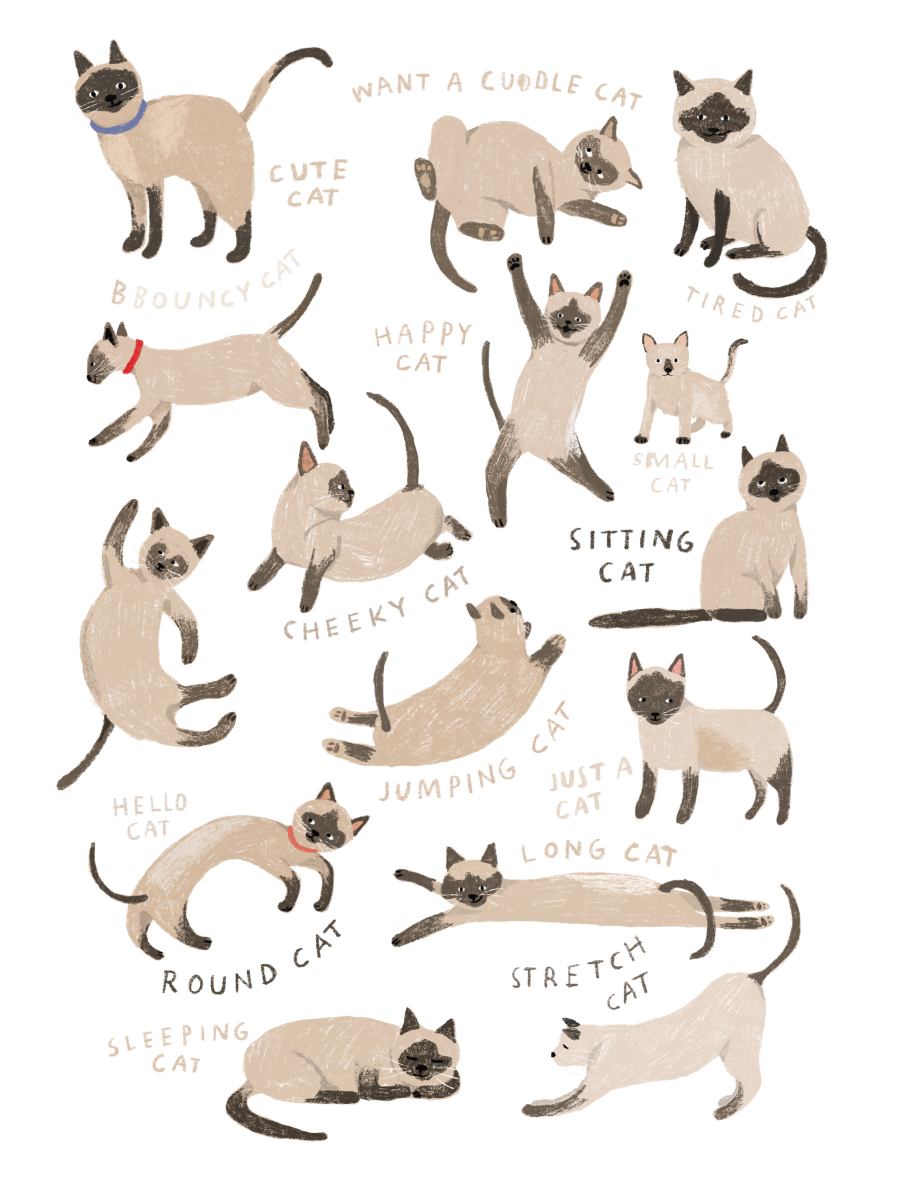 Cats Poster
