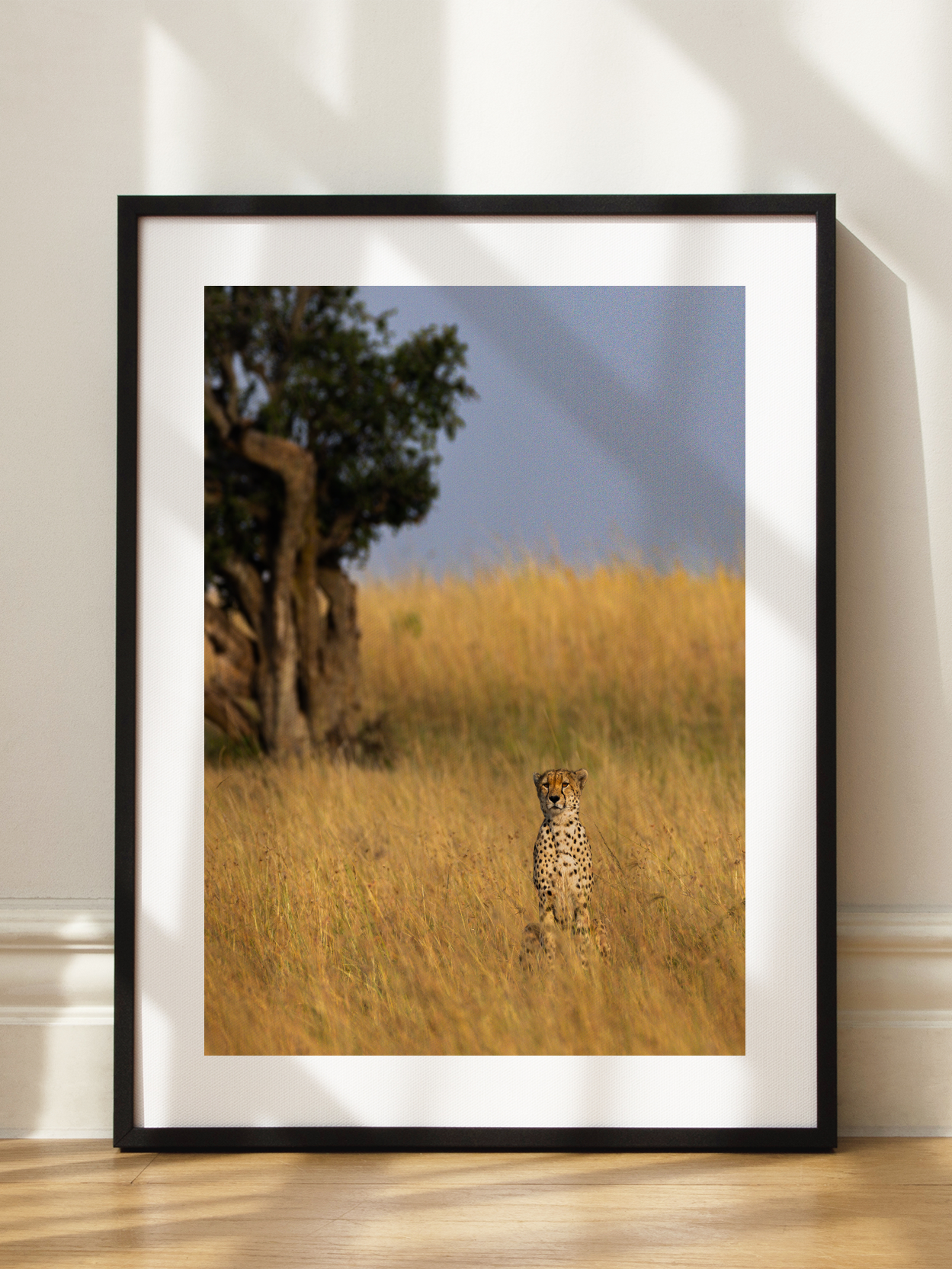 Cheetah in the Grass Poster