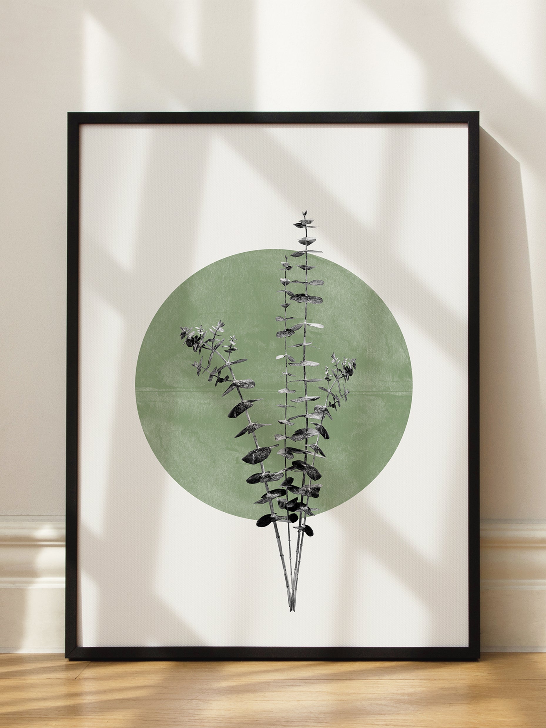 Circular Eukalyptus