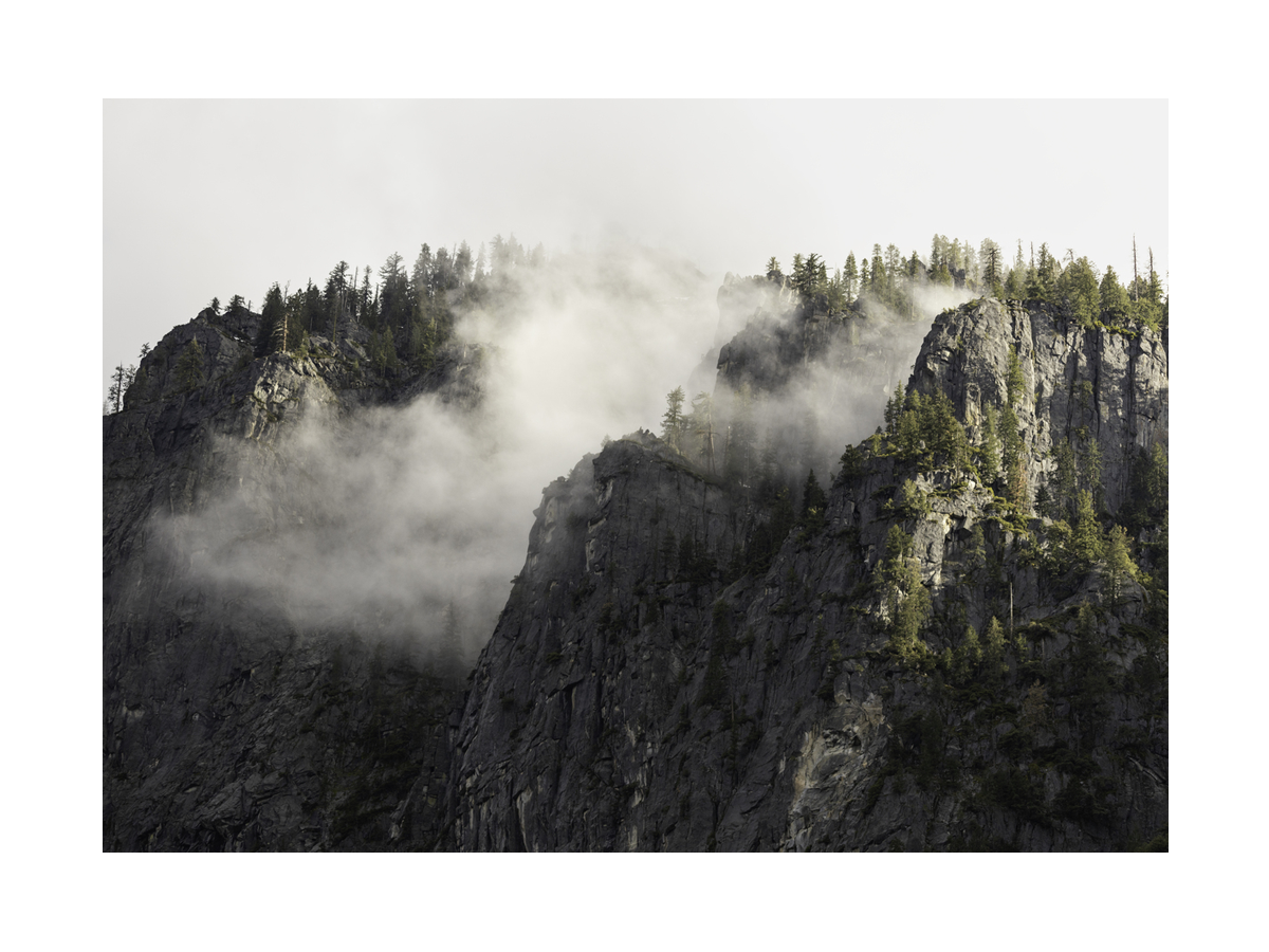 Fotografie von Nebel zwischen Bäumen auf einem Berggipfel.